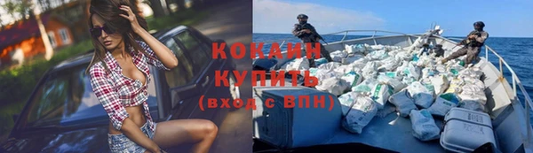 стаф Осинники