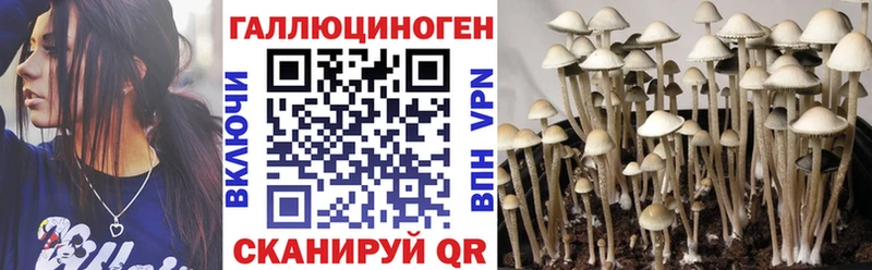 дарнет шоп  Кукмор  Галлюциногенные грибы MAGIC MUSHROOMS 